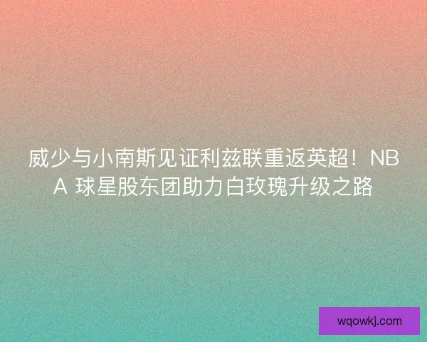 威少与小南斯见证利兹联重返英超！NBA 球星股东团助力白玫瑰升级之路
