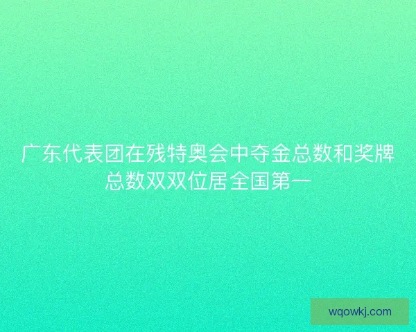 广东代表团在残特奥会中夺金总数和奖牌总数双双位居全国第一